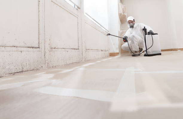 24/7 Emergency Mold Remediation experts in Fulton, TX