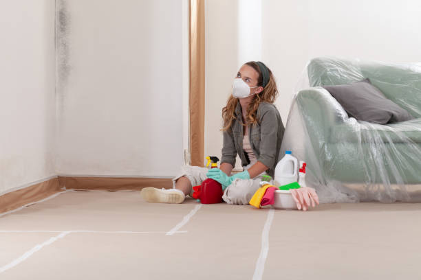 Reliable Mold Remediation contractor in Fulton, TX by 24 Hour Mold Removal